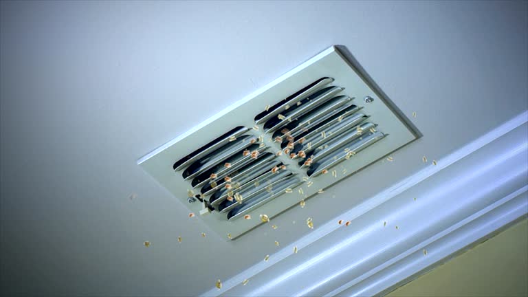 Best General Air Duct Cleaning  in Lake Clarke Shores, FL