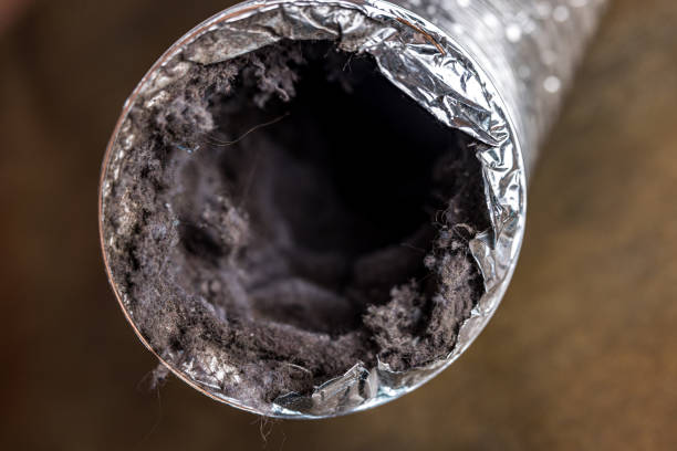 Best Affordable Air Duct Cleaning  in Lake Clarke Shores, FL