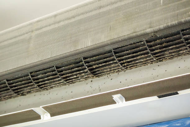 Best HVAC Duct Inspection Services  in Lake Clarke Shores, FL