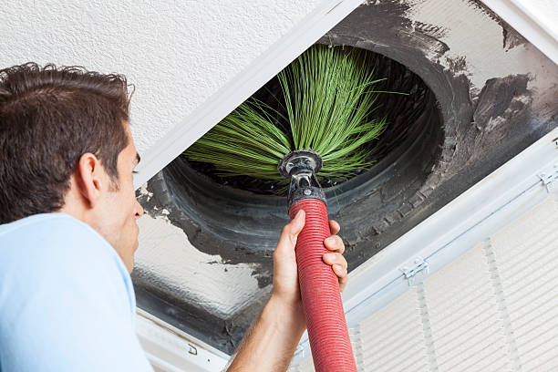 Air Duct Mold Removal in Lake Clarke Shores, FL