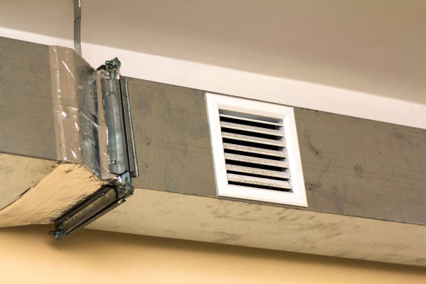 Best Affordable Duct Cleaning Services  in Lake Clarke Shores, FL